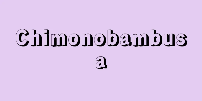 Chimonobambusa