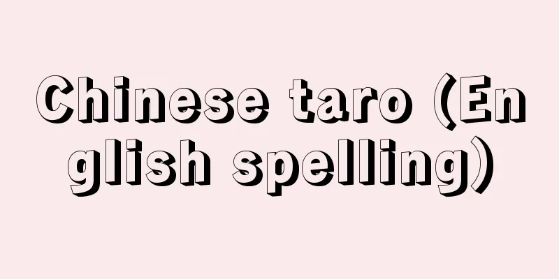 Chinese taro (English spelling)