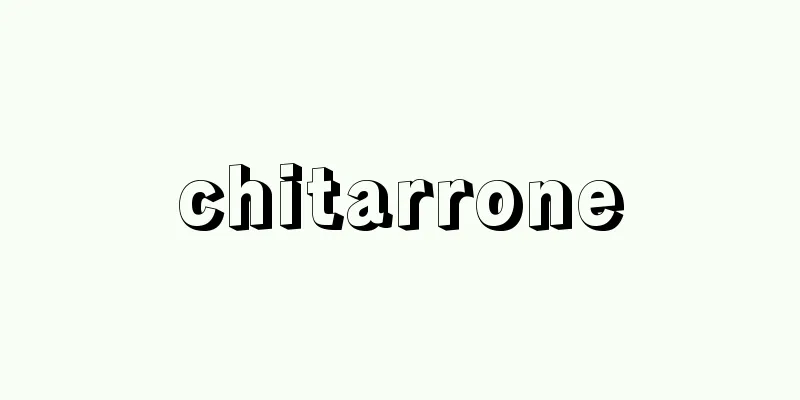 chitarrone