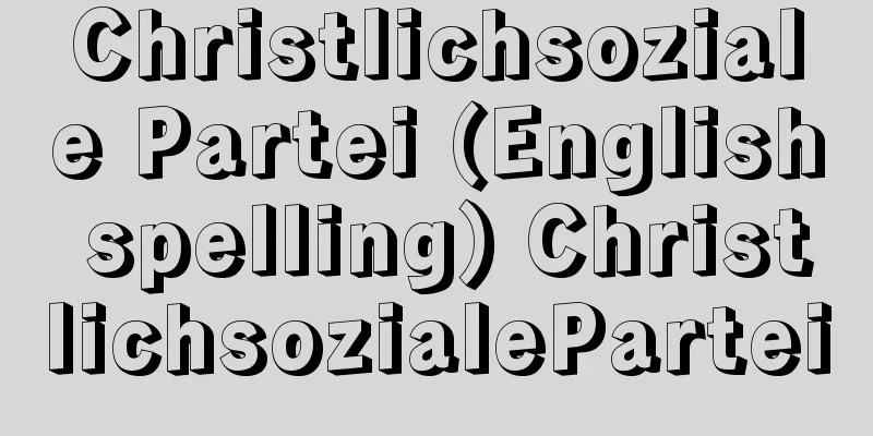 Christlichsoziale Partei (English spelling) ChristlichsozialePartei