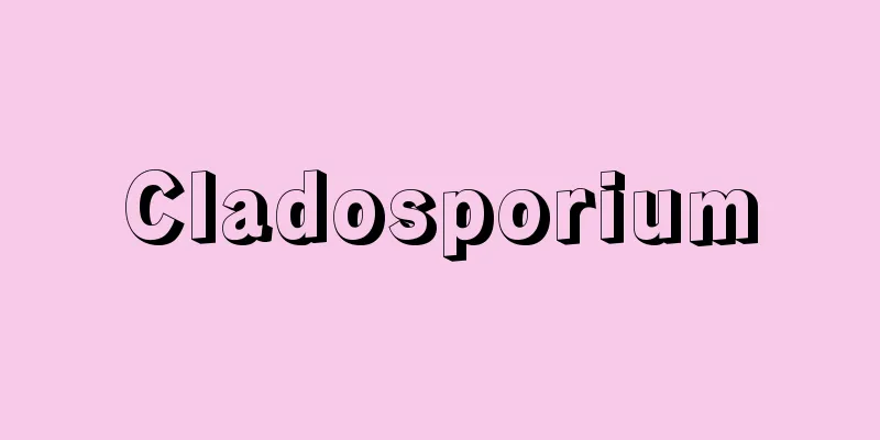 Cladosporium