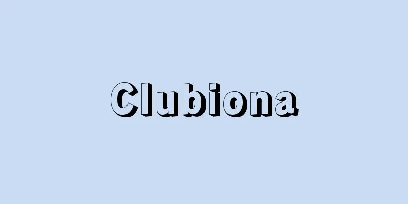 Clubiona