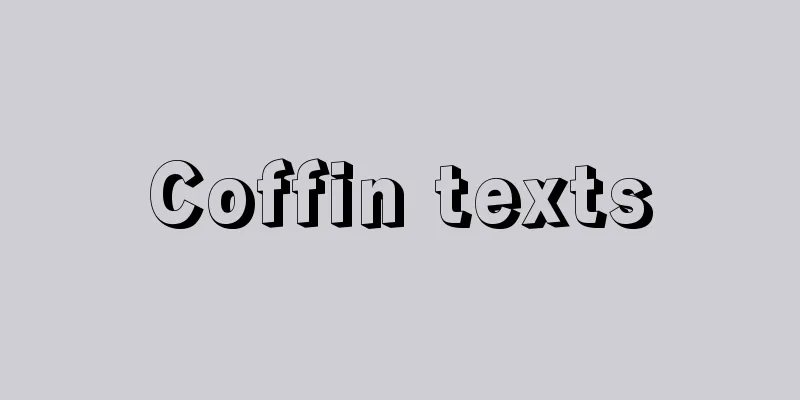 Coffin texts