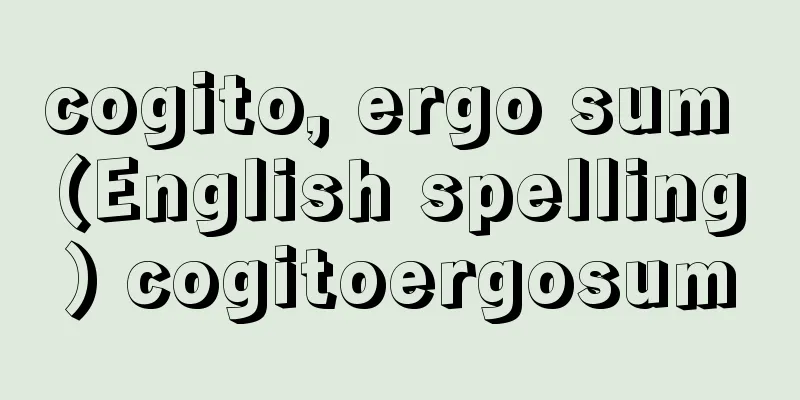 cogito, ergo sum (English spelling) cogitoergosum