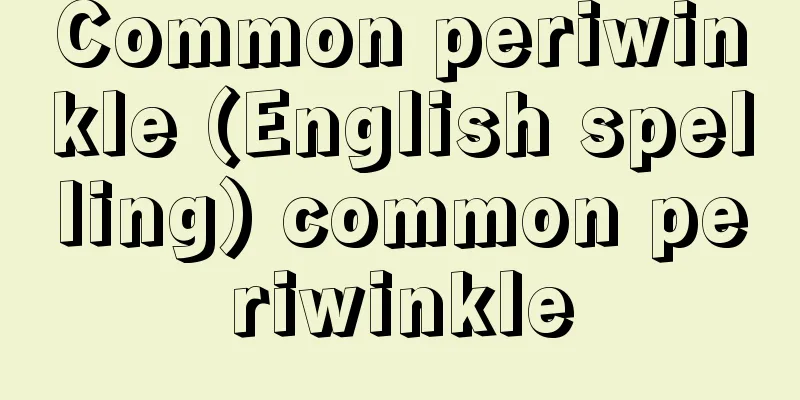 Common periwinkle (English spelling) common periwinkle