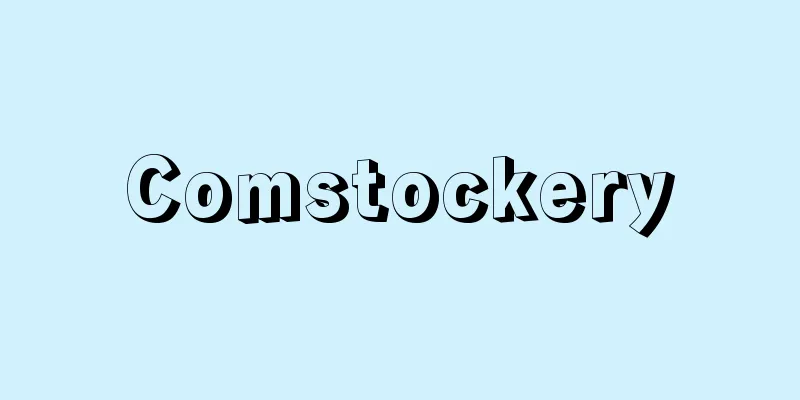 Comstockery