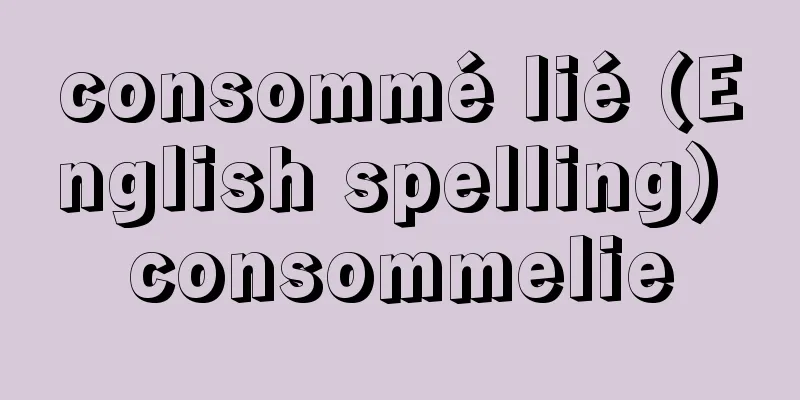 consommé lié (English spelling) consommelie