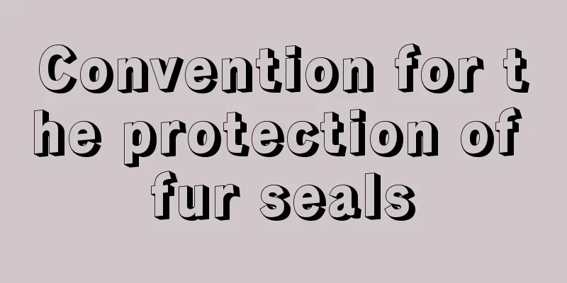 Convention for the protection of fur seals