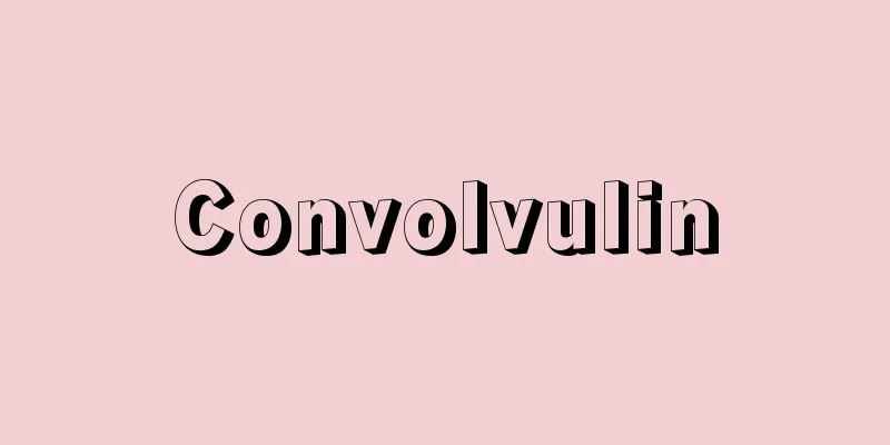 Convolvulin