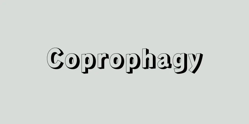 Coprophagy