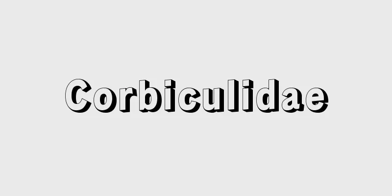 Corbiculidae