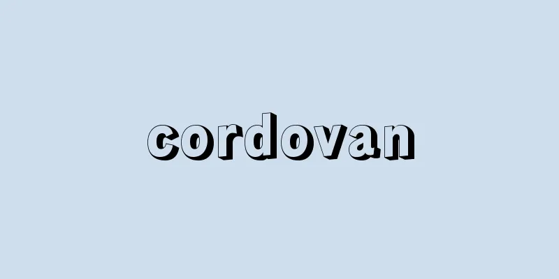 cordovan