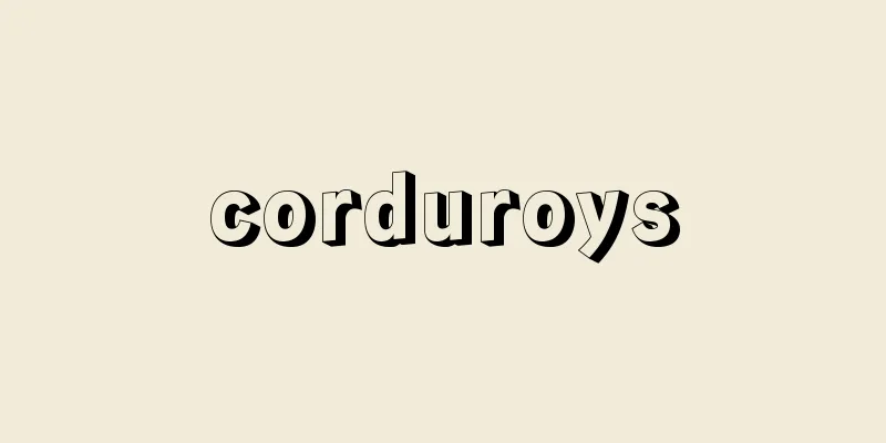 corduroys