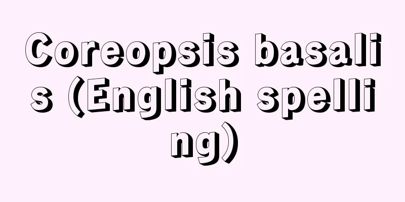 Coreopsis basalis (English spelling)