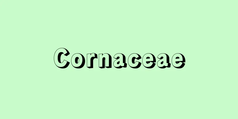 Cornaceae
