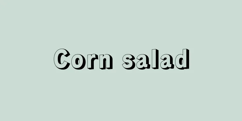 Corn salad