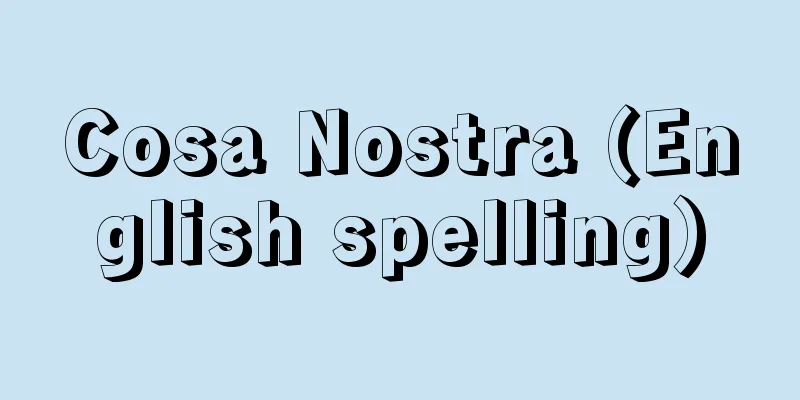 Cosa Nostra (English spelling)