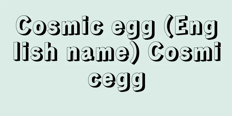 Cosmic egg (English name) Cosmicegg