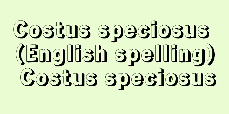 Costus speciosus (English spelling) Costus speciosus