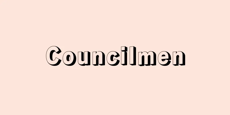 Councilmen
