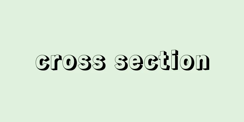 cross section