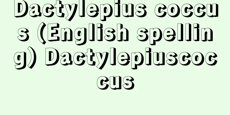 Dactylepius coccus (English spelling) Dactylepiuscoccus