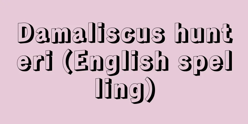 Damaliscus hunteri (English spelling)