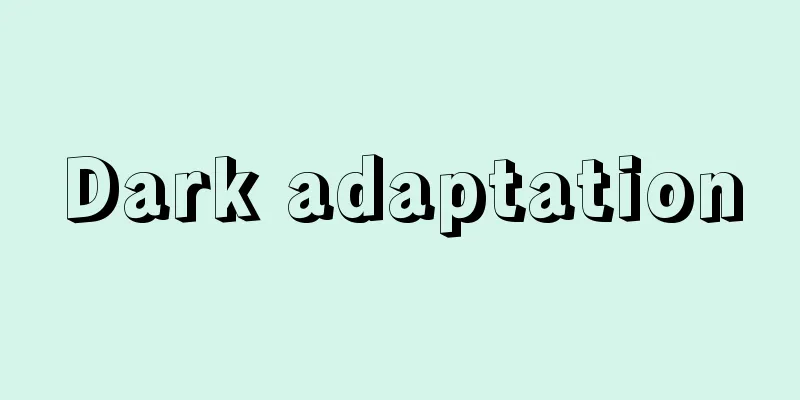 Dark adaptation
