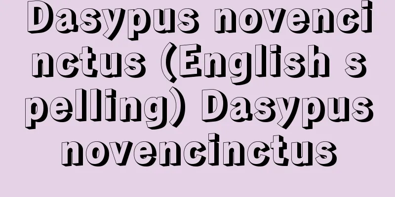 Dasypus novencinctus (English spelling) Dasypusnovencinctus