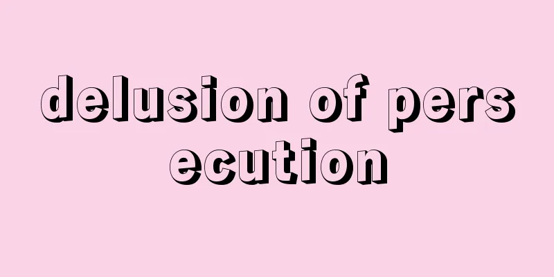 delusion of persecution