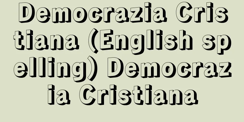 Democrazia Cristiana (English spelling) Democrazia Cristiana