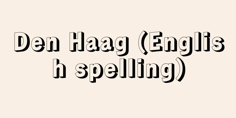 Den Haag (English spelling)