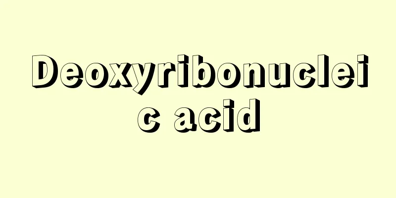 Deoxyribonucleic acid