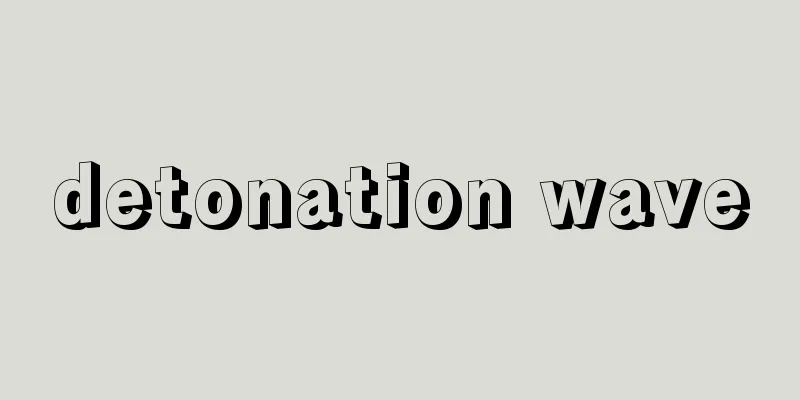 detonation wave
