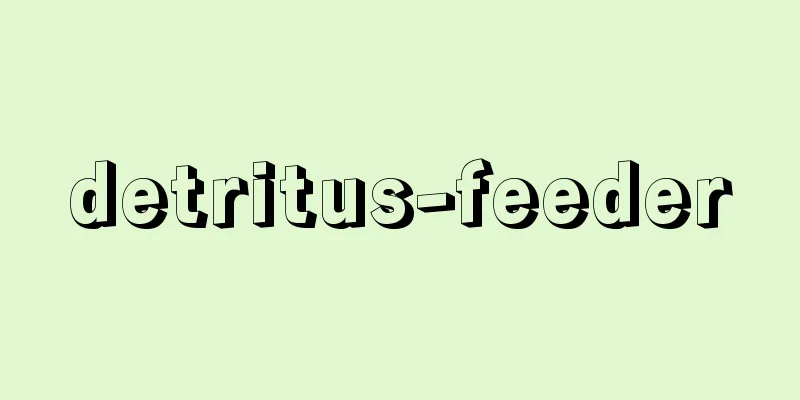 detritus-feeder