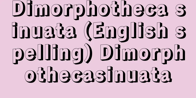 Dimorphotheca sinuata (English spelling) Dimorphothecasinuata