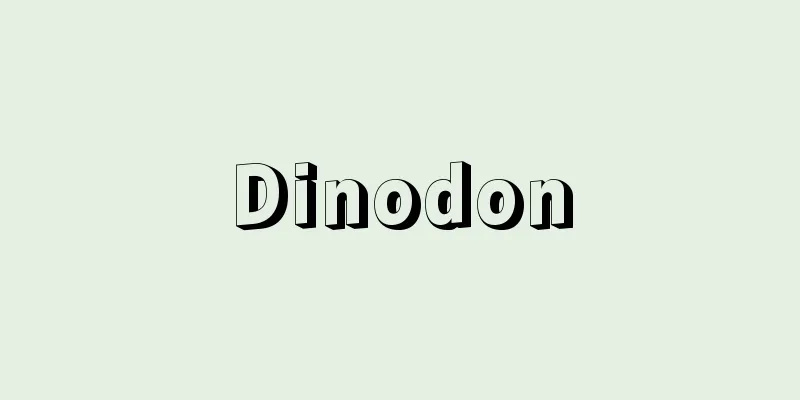 Dinodon