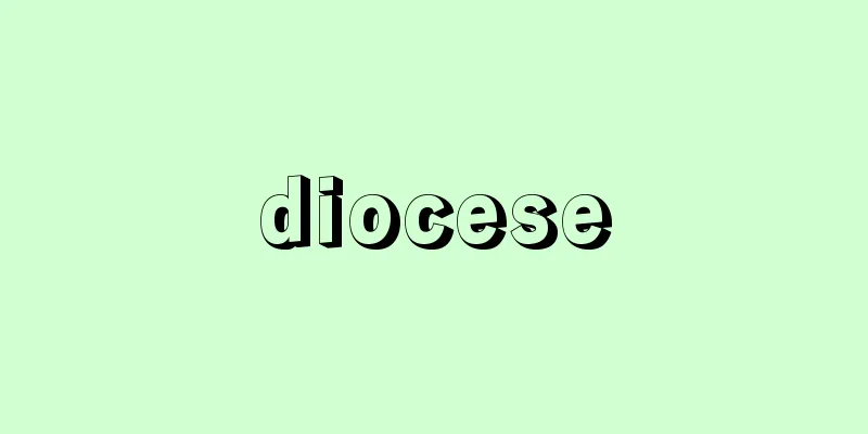 diocese