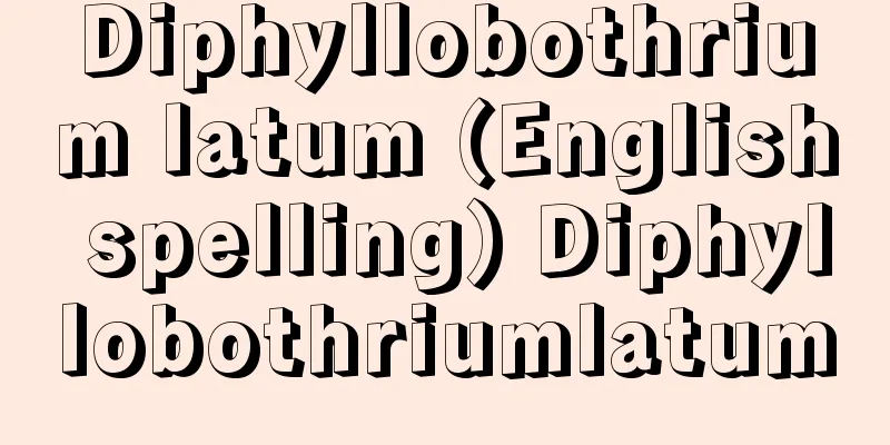 Diphyllobothrium latum (English spelling) Diphyllobothriumlatum