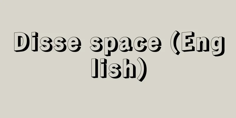 Disse space (English)
