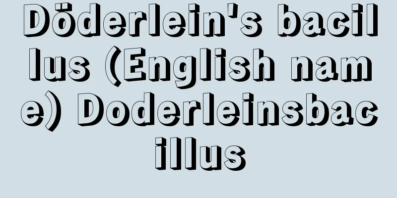 Döderlein's bacillus (English name) Doderleinsbacillus