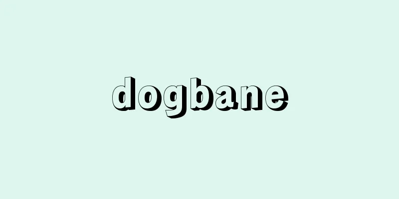 dogbane
