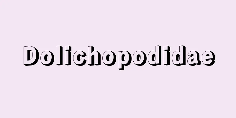 Dolichopodidae