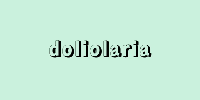 doliolaria