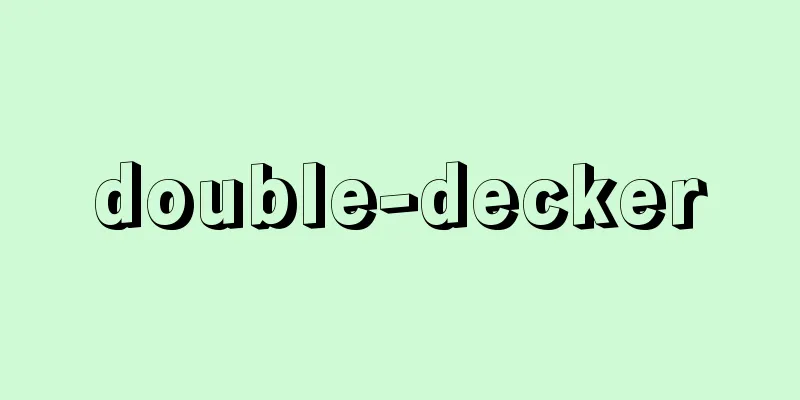 double-decker