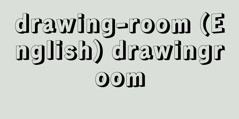 drawing-room (English) drawingroom