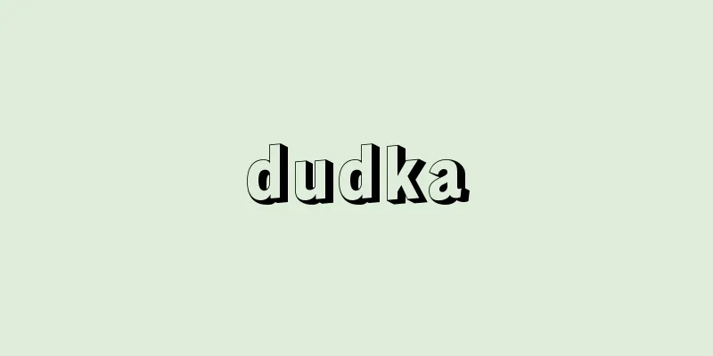dudka