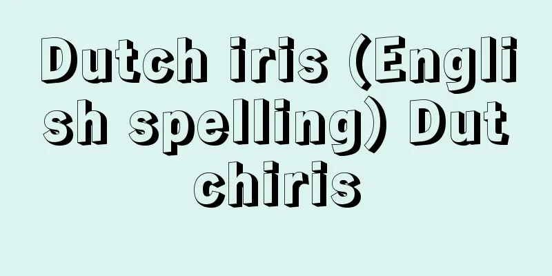 Dutch iris (English spelling) Dutchiris