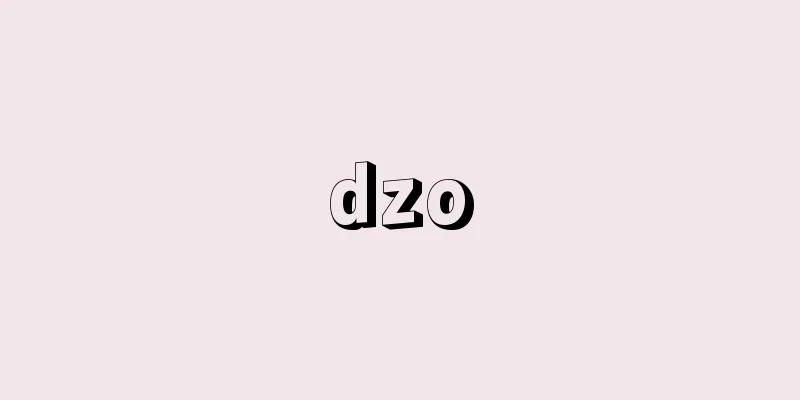 dzo