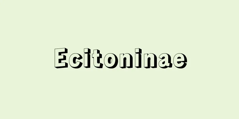 Ecitoninae